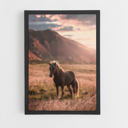 Paard natuur poster