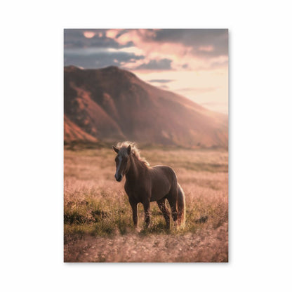 Paard natuur poster