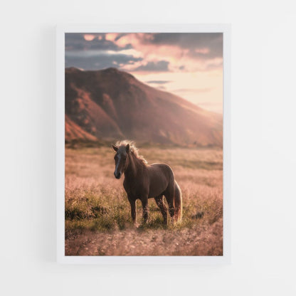 Paard natuur poster