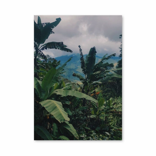 Bananenjungle-poster