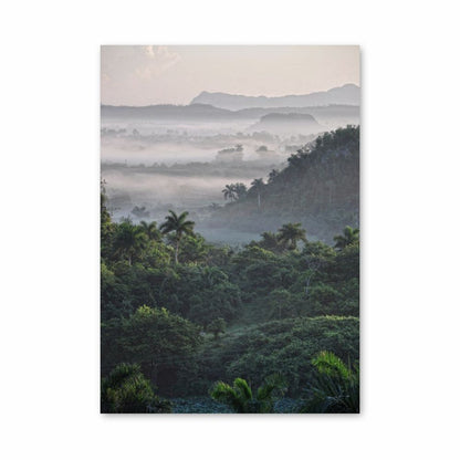 Tropische jungle-poster