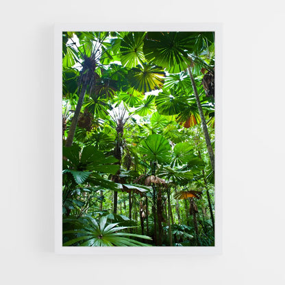 jungle-6 cadre Blanc