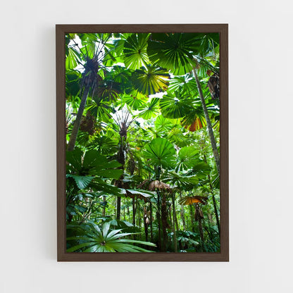 jungle-6 cadre Bois foncé