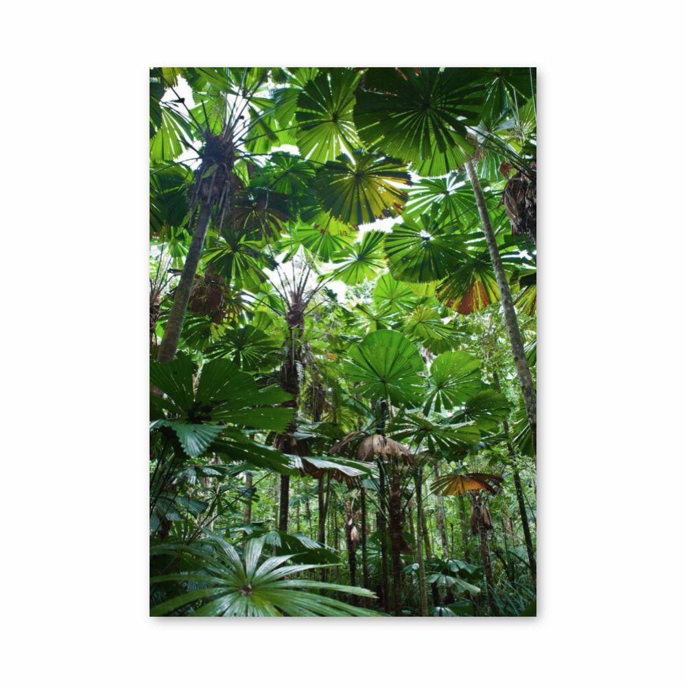 Jungle blad-poster