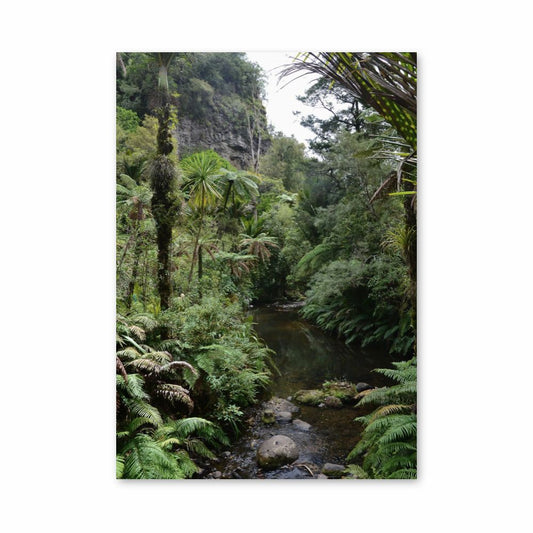 Jungle rivier-poster