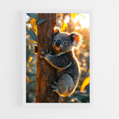 koala-3 cadre Blanc