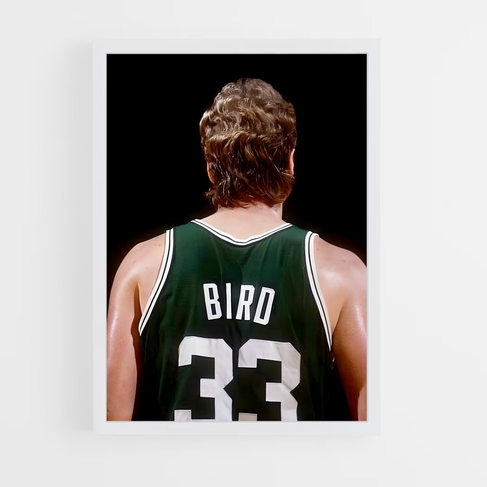 larry-brid-11 cadre Blanc