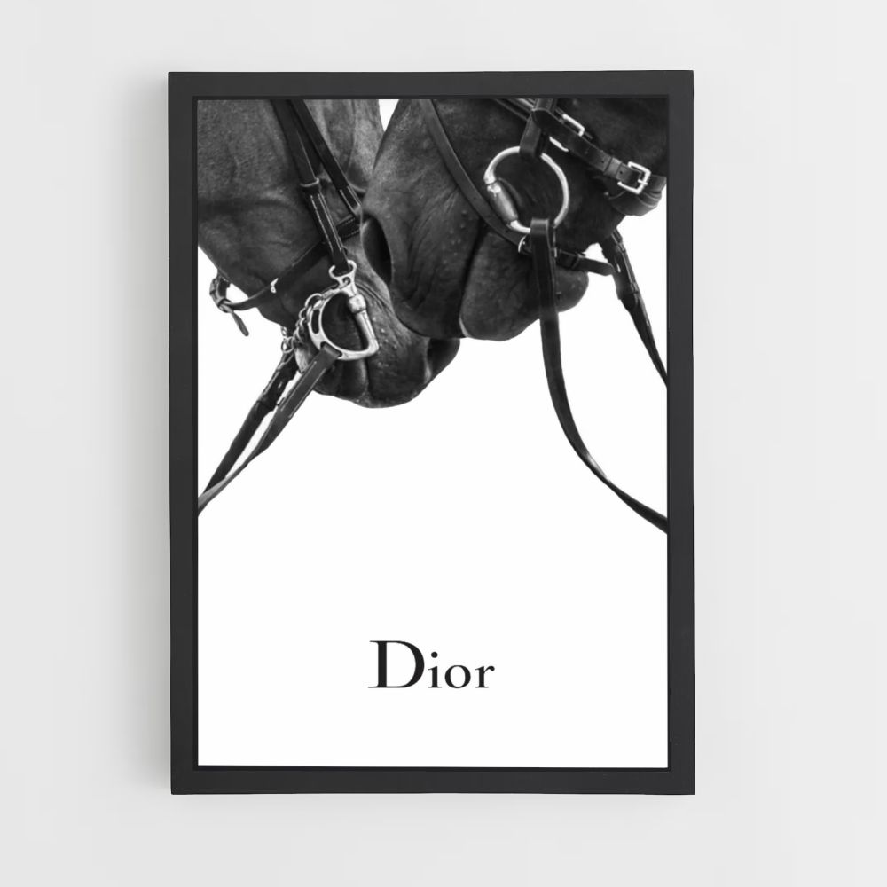 Poster Dior-paarden