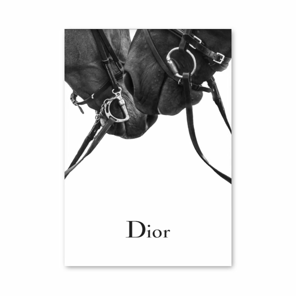 Poster Dior-paarden