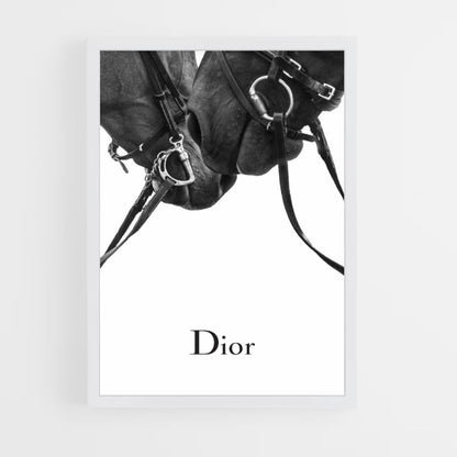 Poster Dior-paarden