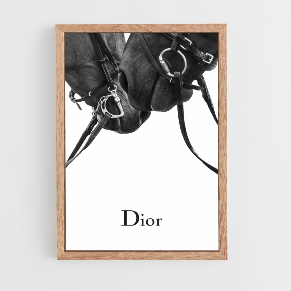 Poster Dior-paarden