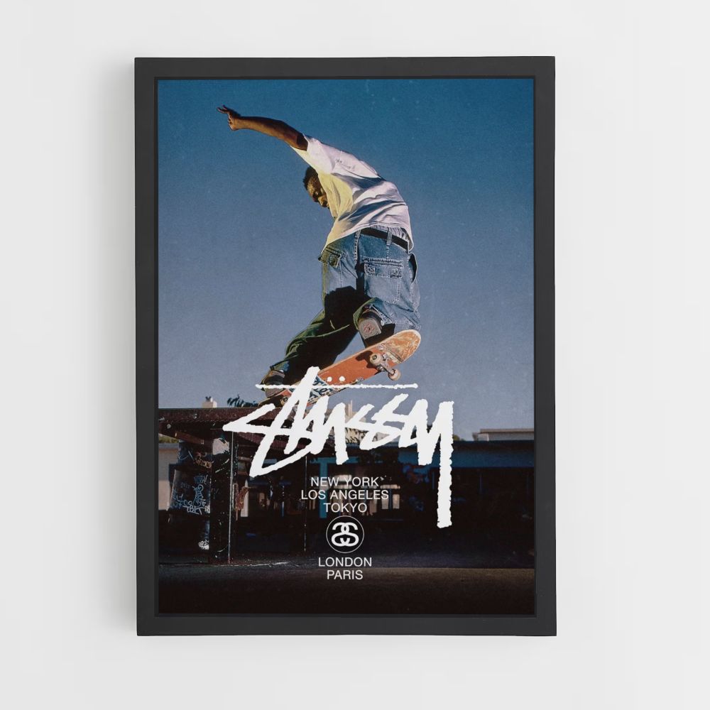 Stussy Skate-poster