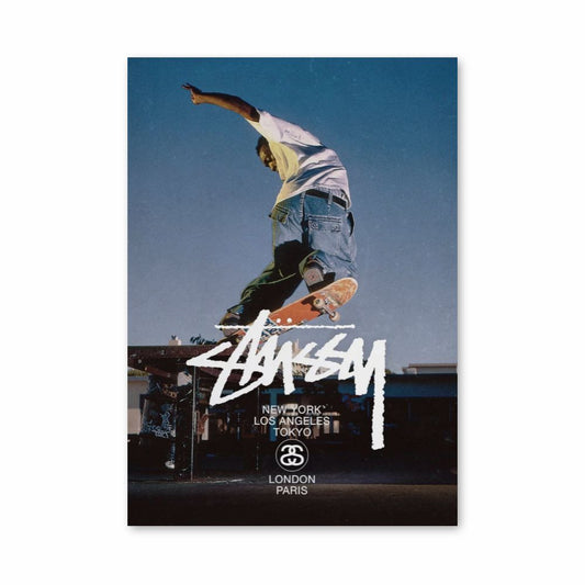 Stussy Skate-poster