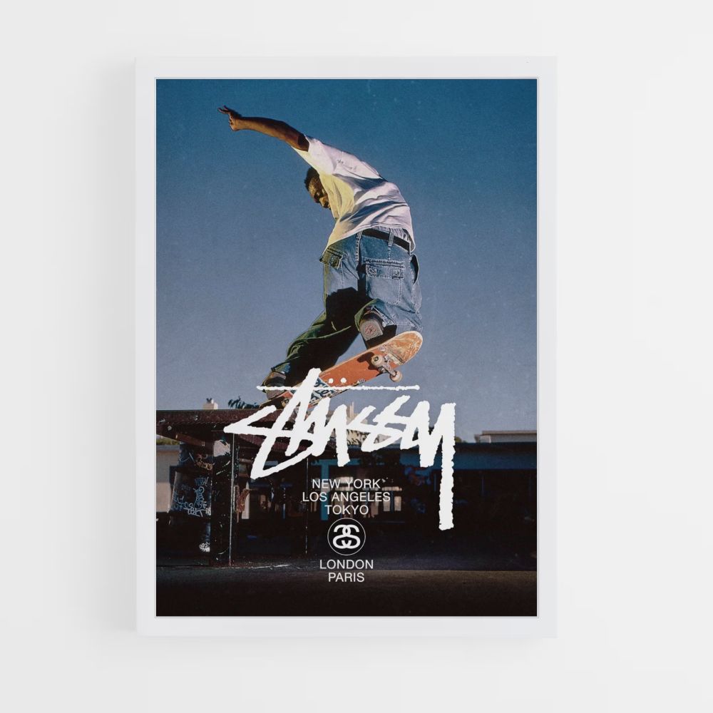 Stussy Skate-poster