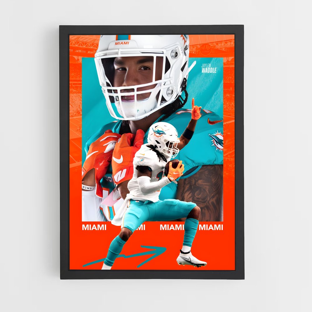 miami-dolphins-21 cadre Noir