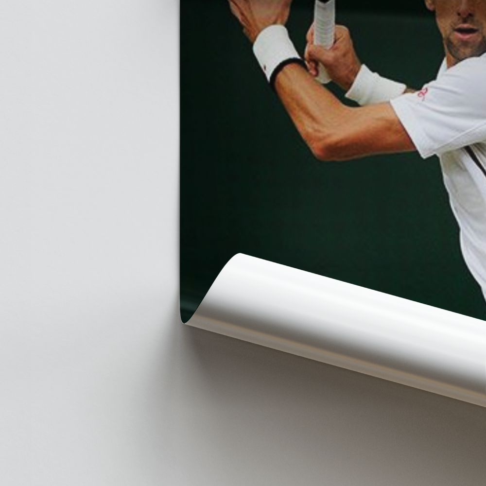 Poster Djokovic-bal