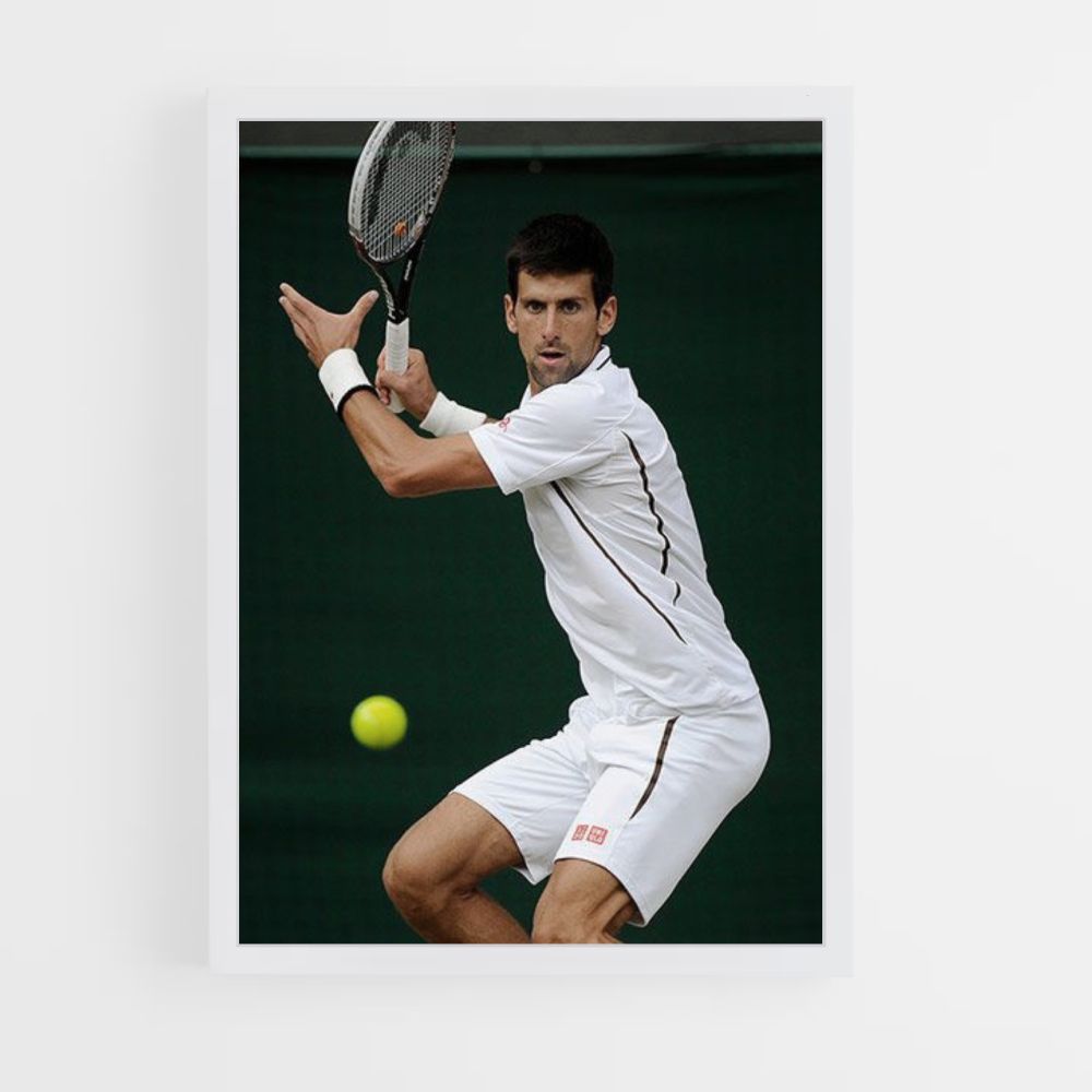 Poster Djokovic-bal