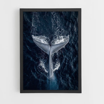 Walvis-poster