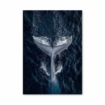 Walvis-poster