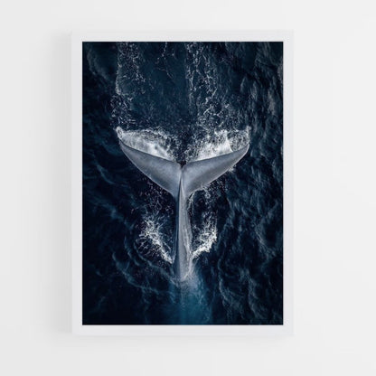 Walvis-poster