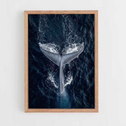 Walvis-poster