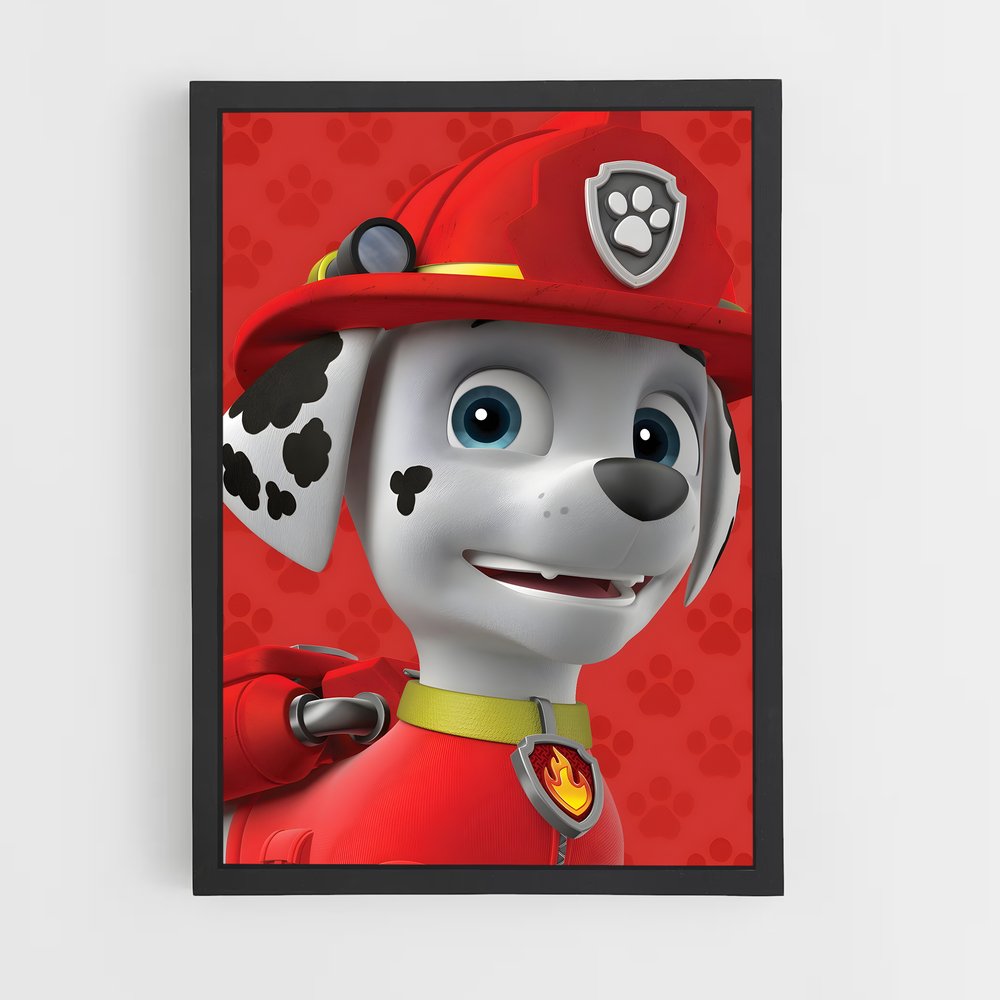 paw-patrol-14 cadre Noir