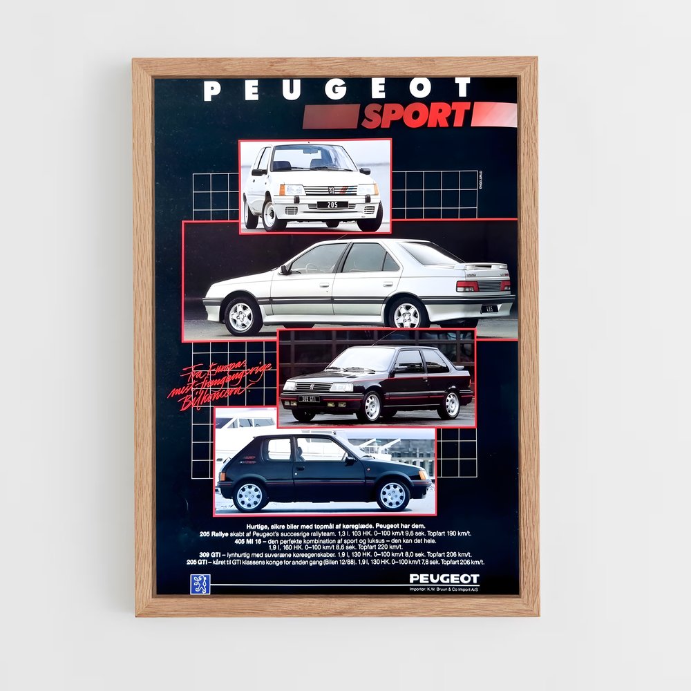 peugeot-11 cadre Bois clair