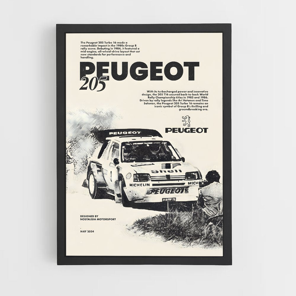 peugeot-12 cadre Noir