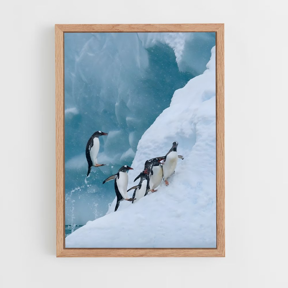 pingouin-4 cadre Bois clair