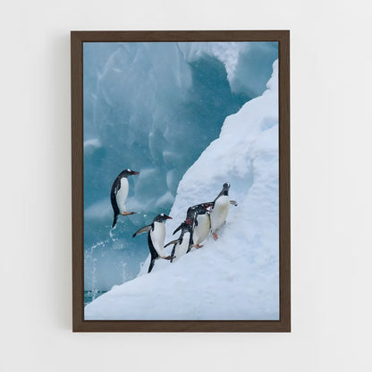 pingouin-4 cadre Bois foncé