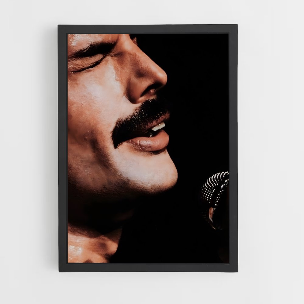 queen-10 cadre Noir