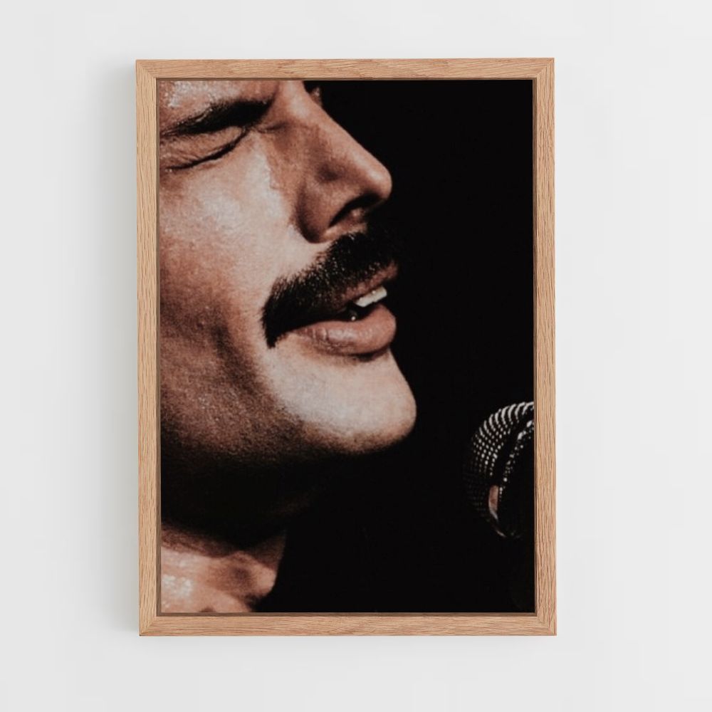 Affiche Koningin Freddy Mercury