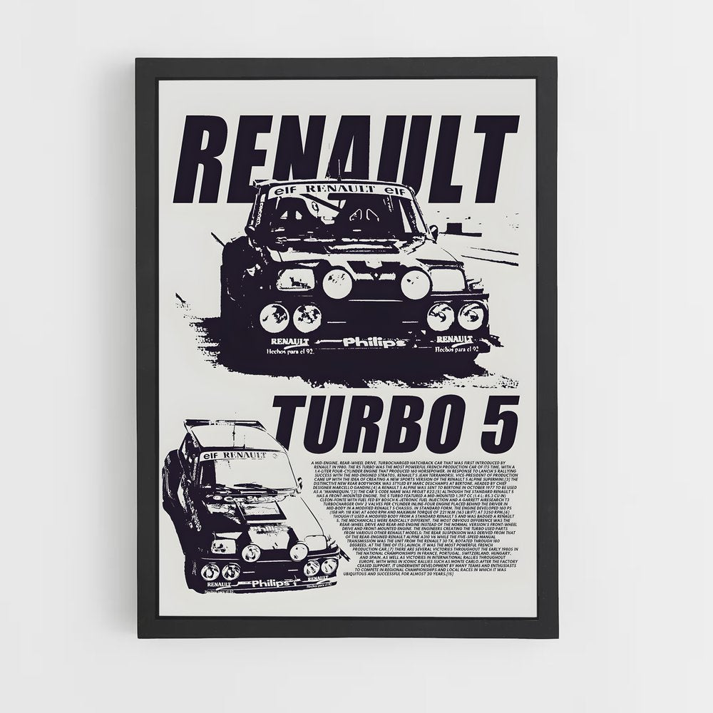 renault-14 cadre Noir