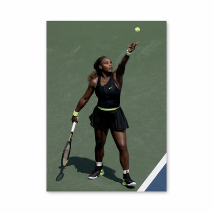 Poster Williams tennisbal