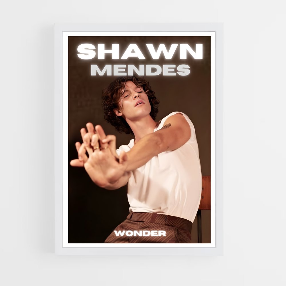 shawn-mendes-13 cadre Blanc