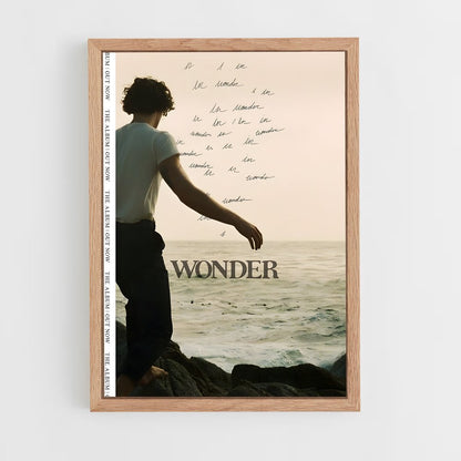 shawn-mendes-15 cadre Bois clair