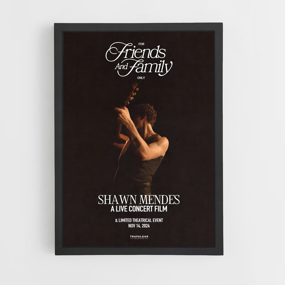shawn-mendes-7 cadre Noir