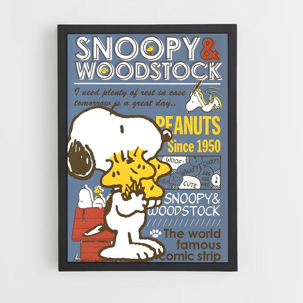 snoopy-10 cadre Noir
