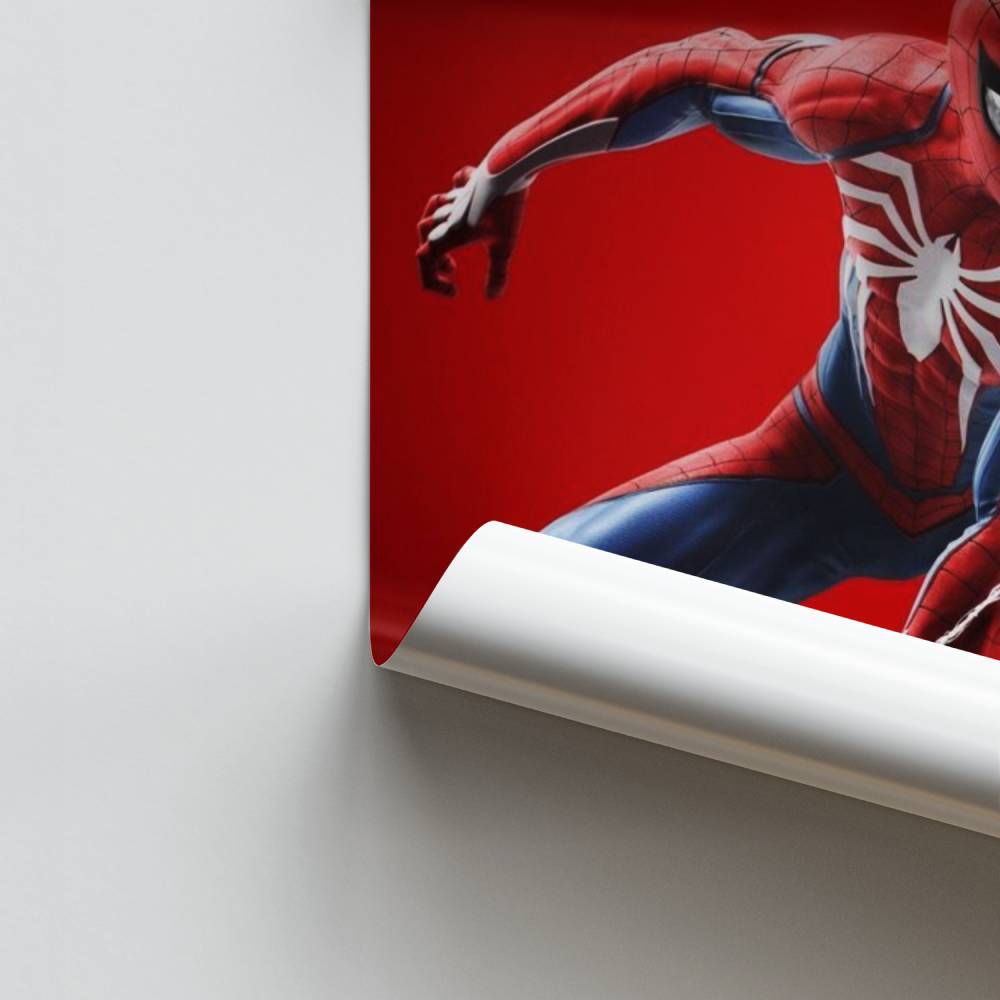 Poster Spiderman 2-spel