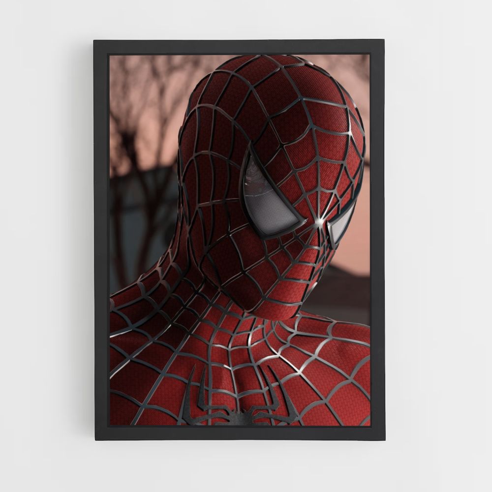 Spiderman-maskerposter