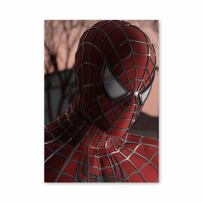 Spiderman-maskerposter