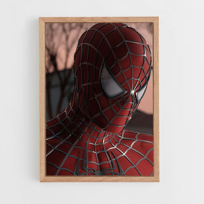 Spiderman-maskerposter