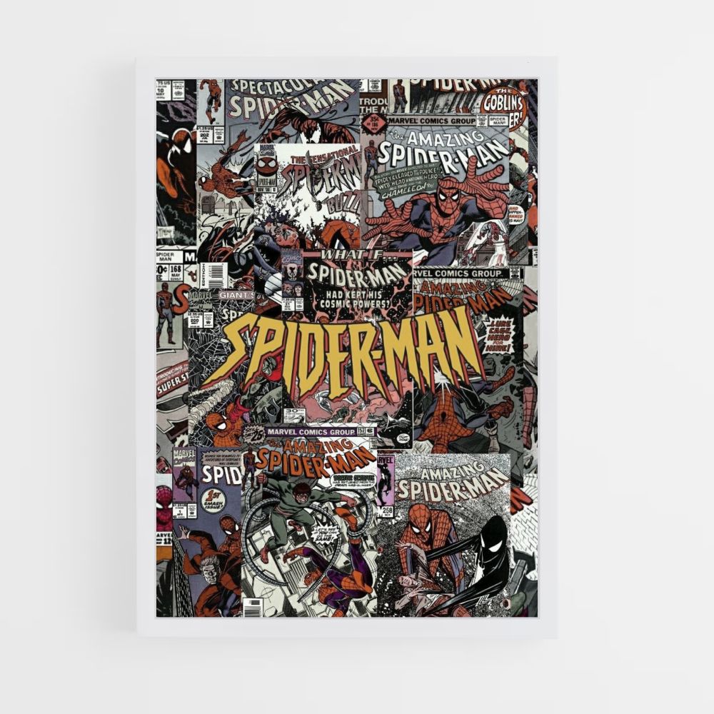 Spiderman dagboekposter