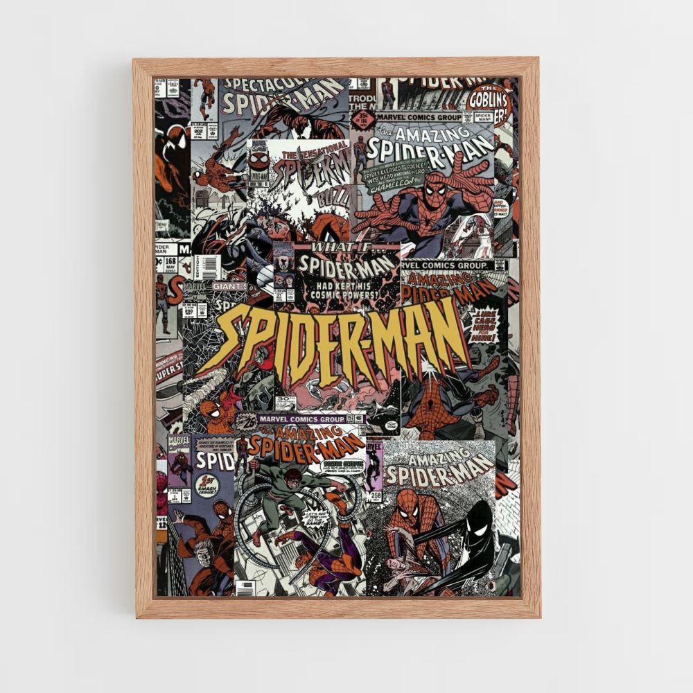 Spiderman dagboekposter