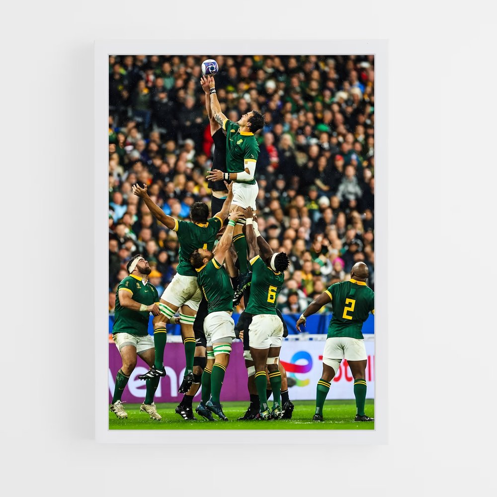 springboks-6 cadre Blanc