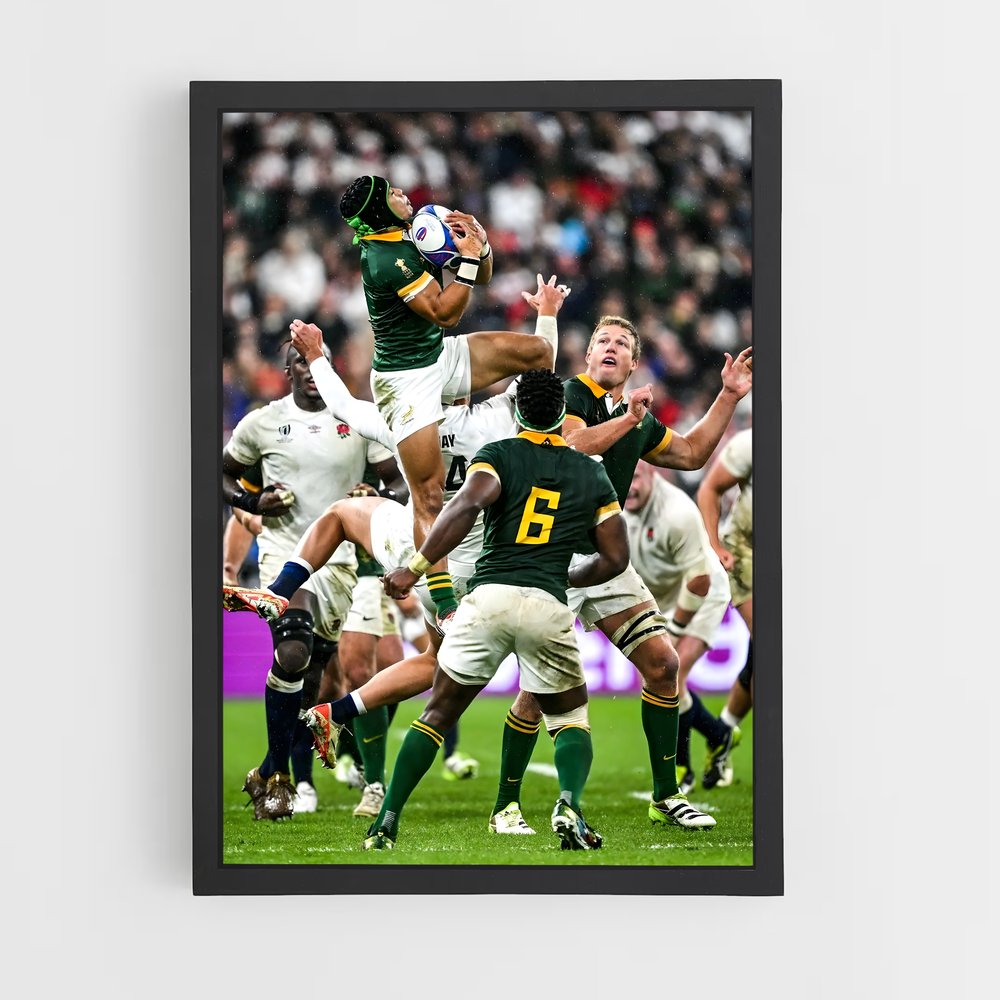 springboks-9 cadre Noir