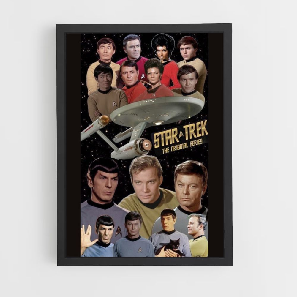 Vintage Star Trek-poster