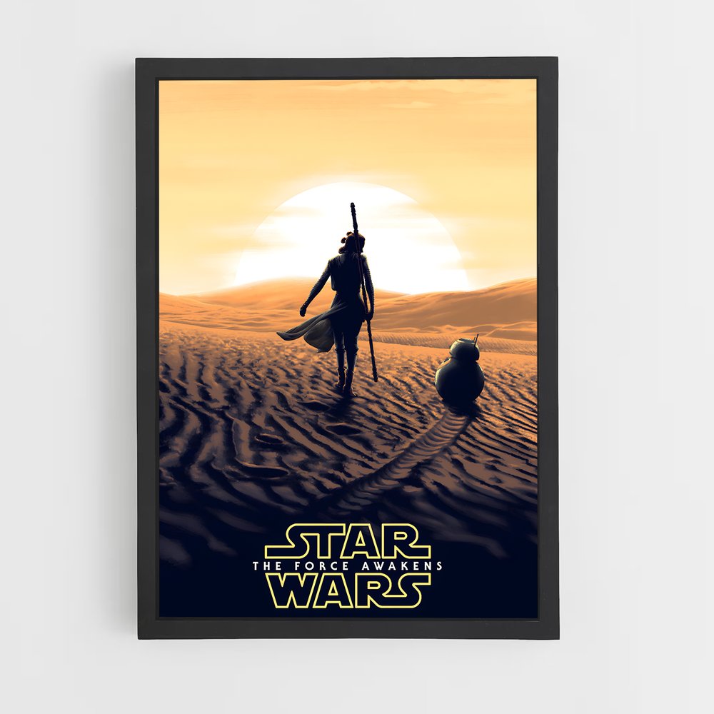 star-wars-25 cadre Noir