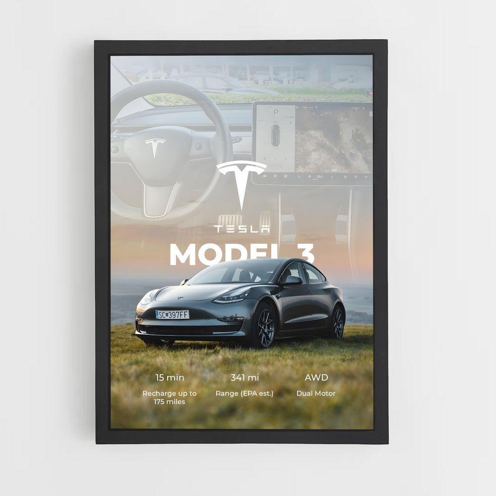 tesla-11 cadre Noir