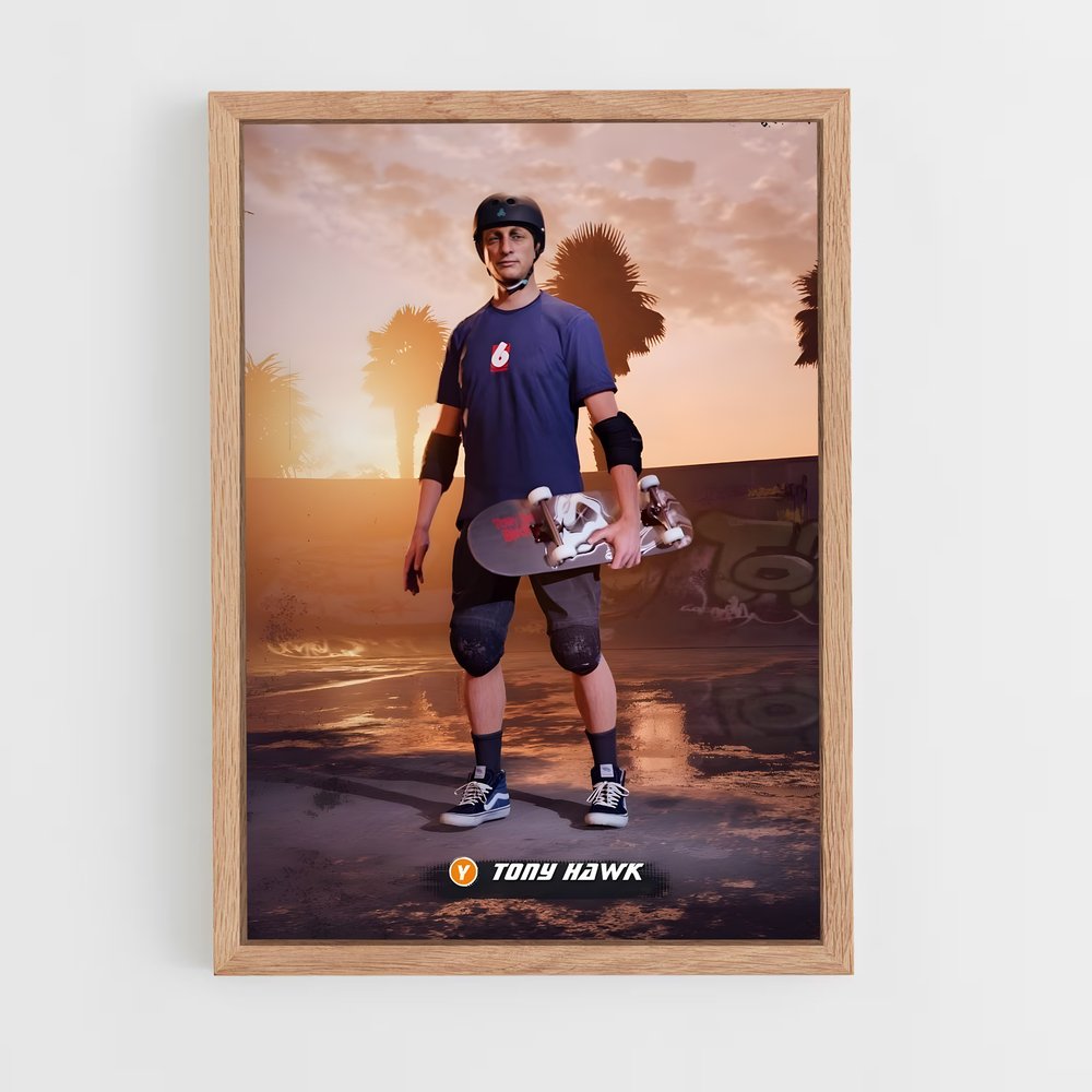 tony-hawk-9 cadre Bois clair
